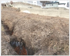  2024Ÿ��102096  ����