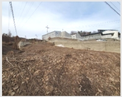  2024Ÿ��102096  ����