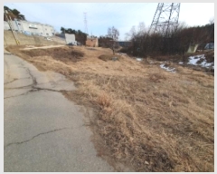  2024Ÿ��102096  ����