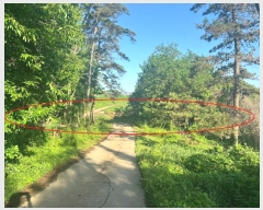  2024Ÿ��69748 ��� ȭ���� �ۻ�� �߼۸� ��83-9      ����(�Ӿ�)���