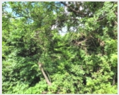  2024Ÿ��69748 ��� ȭ���� �ۻ�� �߼۸� ��83-9      ����(�Ӿ�)���