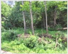  2024Ÿ��69748 ��� ȭ���� �ۻ�� �߼۸� ��83-9      ����(�Ӿ�)���