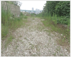  2024Ÿ��78988  �Ӿ߰��