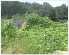  2024Ÿ��78988  �Ӿ߰��