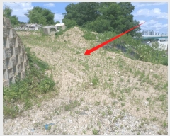  2024Ÿ��78988  �Ӿ߰��