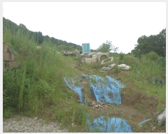  2024Ÿ��78988  �Ӿ߰��