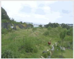  2024Ÿ��78988  �Ӿ߰��