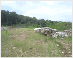  2024Ÿ��78988  �Ӿ߰��