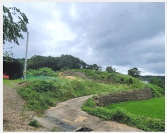  2024Ÿ80059  ν óα ϸ ڰ 134     (Ӿ)