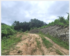  2024Ÿ80059  ν óα ϸ ڰ 134     (Ӿ)