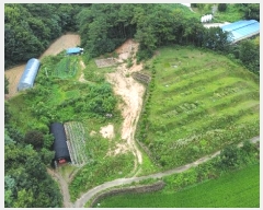  2024Ÿ80059  ν óα ϸ ڰ 134     (Ӿ)