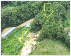  2024Ÿ80059  ν óα ϸ ڰ 134     (Ӿ)