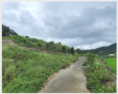  2024Ÿ80059  ν óα ϸ ڰ 134     (Ӿ)