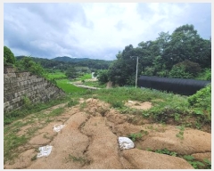  2024Ÿ80059  ν óα ϸ ڰ 134     (Ӿ)