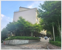  2024Ÿ80899  ν ﱸ 𳲷29 41, 2 3301ȣ (𳲵,׽Ʈ ŸϿ콺)  ټ,