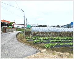  2024Ÿ��86040 ��� ���ν� ó�α� ��ϸ� ����� 1188-1     ����(��1)���