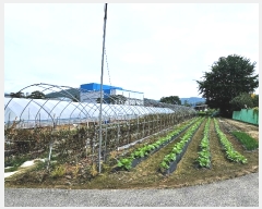  2024Ÿ��86040 ��� ���ν� ó�α� ��ϸ� ����� 1188-1     ����(��1)���