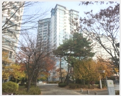  2024Ÿ97446  ȭ Ⳳ ߾1 95, 1306 131304ȣ (Ⳳù챸ɸϺüƮ)   Ʈ