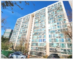  2024Ÿ��99565  ����Ʈ���