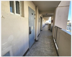  2024Ÿ��99565  ����Ʈ���