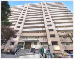  2024Ÿ��99565  ����Ʈ���