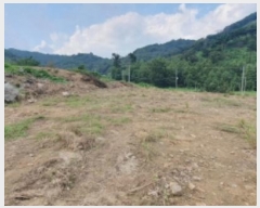  2024Ÿ��4956 ��� ȭ���� ���Ÿ� ȫ���� 17-7      ����(�Ӿ�)���