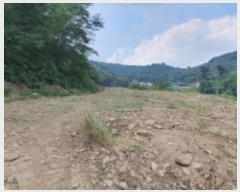  2024Ÿ��4956 ��� ȭ���� ���Ÿ� ȫ���� 17-7      ����(�Ӿ�)���