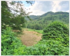  2024Ÿ��4956 ��� ȭ���� ���Ÿ� ȫ���� 17-7      ����(�Ӿ�)���