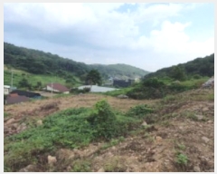  2024Ÿ��4956 ��� ȭ���� ���Ÿ� ȫ���� 17-7      ����(�Ӿ�)���