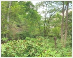  2024Ÿ��4956 ��� ȭ���� ���Ÿ� ȫ���� 17-7      ����(�Ӿ�)���