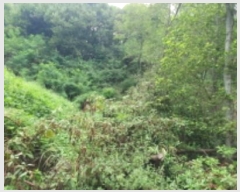  2024Ÿ��4956 ��� ȭ���� ���Ÿ� ȫ���� 17-7      ����(�Ӿ�)���