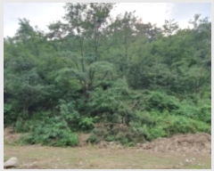  2024Ÿ��4956 ��� ȭ���� ���Ÿ� ȫ���� 17-7      ����(�Ӿ�)���