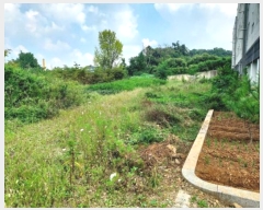  2024Ÿ��10401  �������