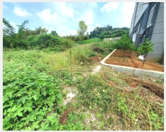  2024Ÿ��10401  �������