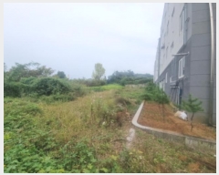  2024Ÿ��10401  �������