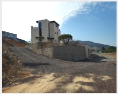  2024Ÿ��59802  ����