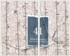  2024Ÿ72423  ν ﱸ ߾ӷ105 41, 1105 8801ȣ (,11泲Ƴʽ)   Ʈ
