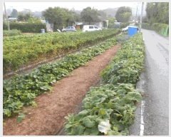  2024Ÿ��78841  �����