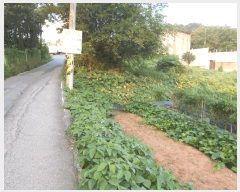  2024Ÿ��78841  �����