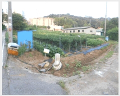  2024Ÿ��78841  �����