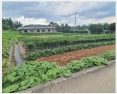  2024Ÿ��78841  �����