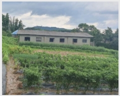  2024Ÿ��78841  �����