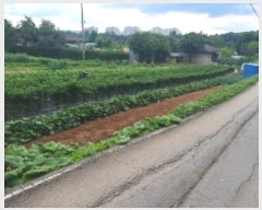  2024Ÿ��78841  �����