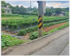  2024Ÿ��78841  �����