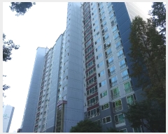  2024Ÿ��85191 ��� ���ν� ������ ����2�� 126, 312�� 1��104ȣ (������,������������������3��)   ����Ʈ���