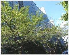  2024Ÿ��85191 ��� ���ν� ������ ����2�� 126, 312�� 1��104ȣ (������,������������������3��)   ����Ʈ���