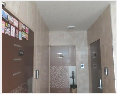  2024Ÿ87678   ȵ 689-7       ܵ,ð