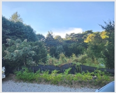  2024Ÿ��89575  �����