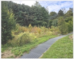  2024Ÿ��89575  �����