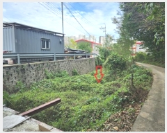  2024Ÿ91721    322       (1)